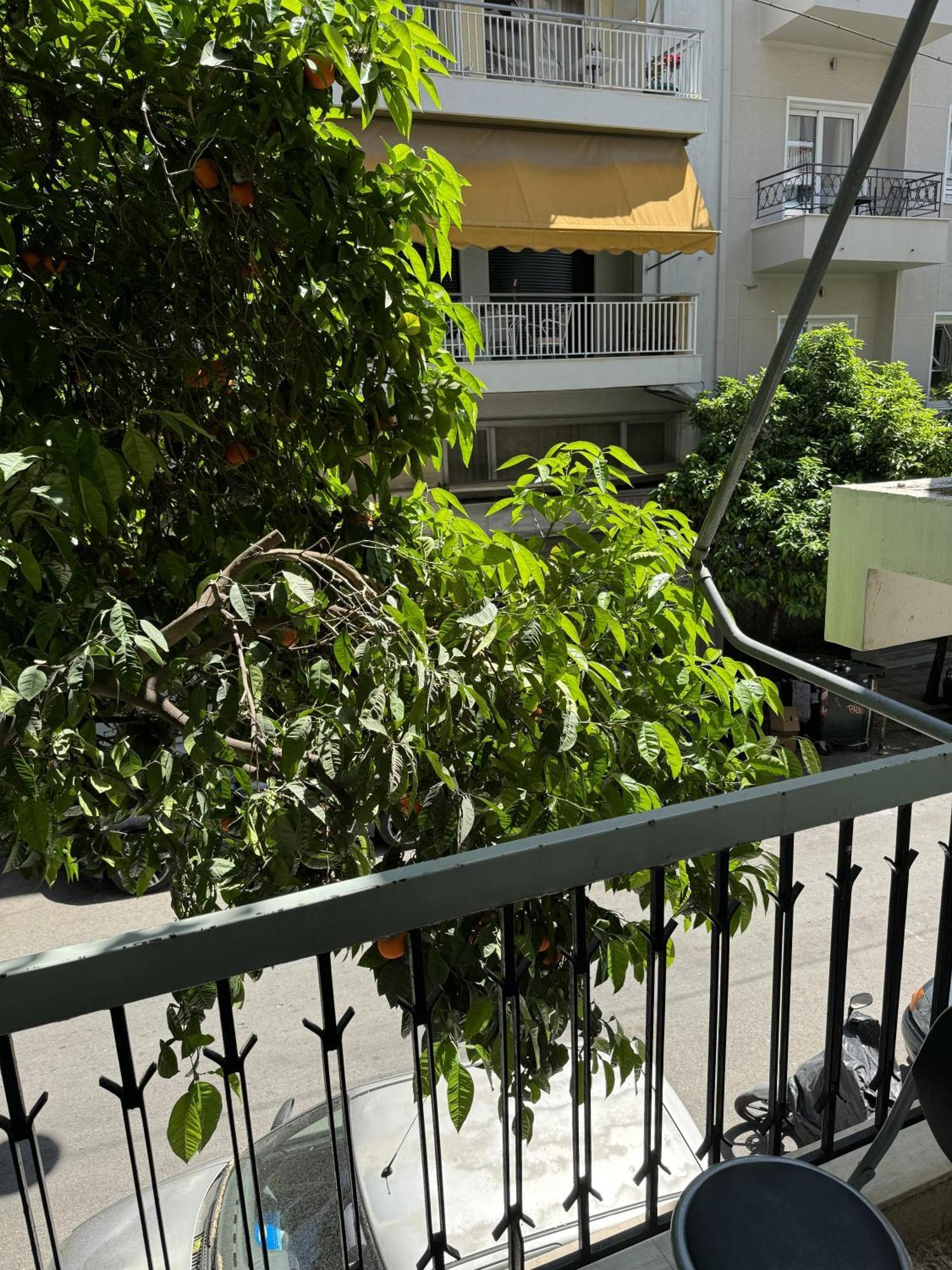 Cozy Apt Next To Acropolis Athen Exterior foto